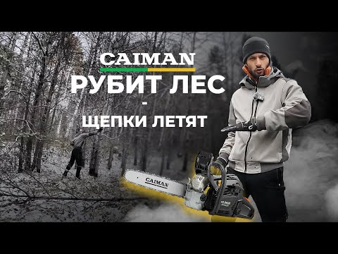 Видео: Удаляю всё лишнее: день с бензопилой CAIMAN на участке