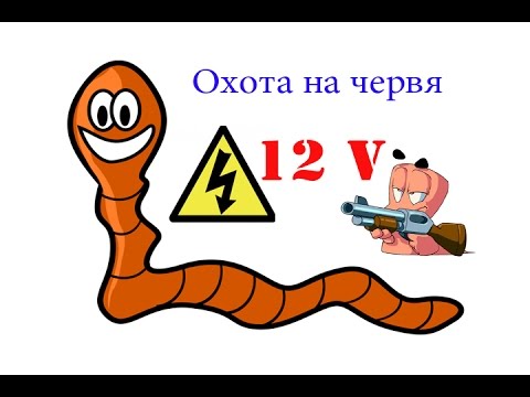 Видео: Добыча червяка с помощью аккумулятора в полевых условиях