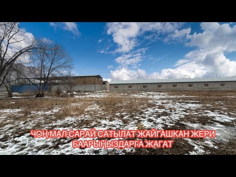 Видео: МАЛ САРАЙ САТЫЛАТ ЛЕСНОЕ 2025