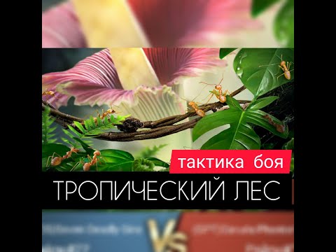 Видео: ТРОПИЧЕСКИЙ ЛЕС! ЗАХВАТ, СБОР, ТАКТИКА! Подготовка к бою! The Ants: Underground Kingdom