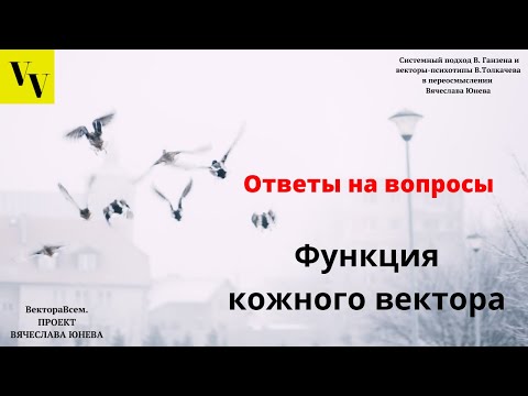Видео: Функция кожного вектора. ВектораВсем. Проект Вячеслава Юнева