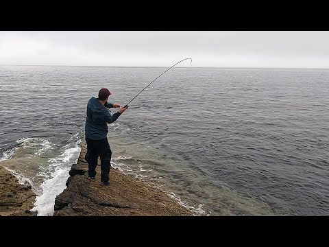 Видео: Ещё один сайда весом более 10 фунтов | Рыбалка на приманку в Великобритании | Рыболовное путешествие