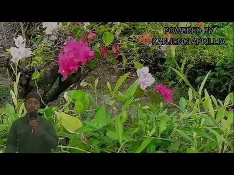 Видео: Иш йулларингз очилади | кутмаган жойингиздан бойлик кела бошлайди