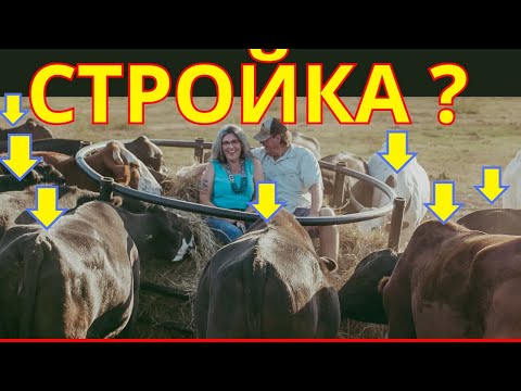 Видео: Как избежать дорогих ошибок при строительстве фермы до 20 коров. стройка фермы