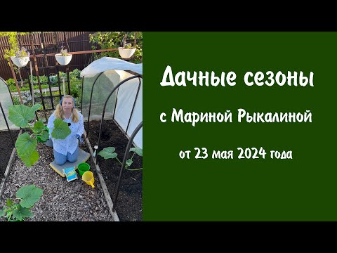 Видео: Дачные сезоны с Мариной Рыкалиной от 23 мая 2024 года