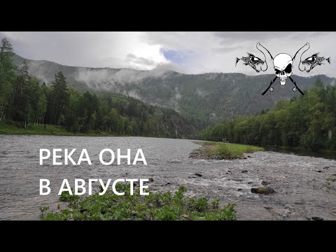 Видео: Однодневная рыбалка на р. Она в августе