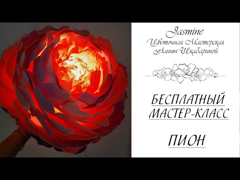 Видео: БЕСПЛАТНЫЙ МАСТЕР-КЛАСС - ПИОН (d23см)