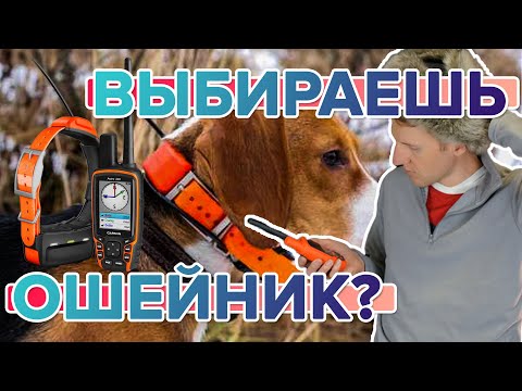 Видео: Что нужно знать начинающему охотнику, при покупке собачьего ошейника Garmin?