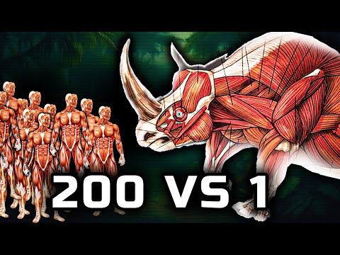 Видео: 200 ЧЕЛОВЕК ПРОТИВ НОСОРОГА 💥 Кто победит в этой БИТВЕ?!