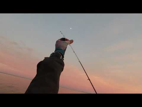 Видео: Рыбалка на терпуга, и камбалу . 17.09.2022. Находка Приморский край .