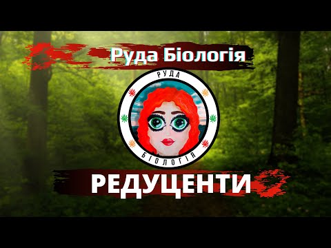 Видео: Редуценти (Руда Біологія)