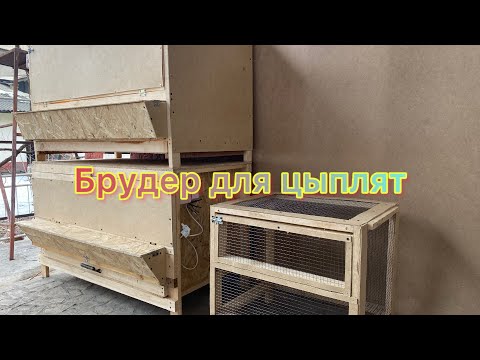 Видео: Жожо кармаганга клеткалар сатылат Жалал абад
