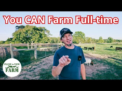 Видео: Можно ли заработать на жизнь на небольшой ферме или приусадебном участке?