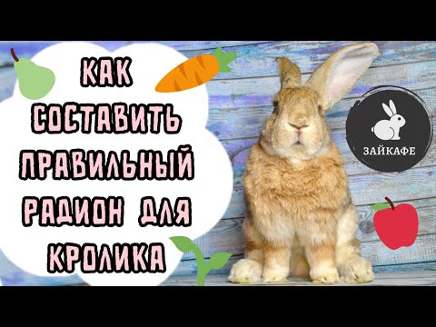 Видео: ЧЕМ КОРМИТЬ КРОЛИКА | СОТАВЛЕНИЕ РАЦИОНА КОРМЛЕНИЯ ДЛЯ КРОЛИКА | КАК ПРАВИЛЬНО КОРМИТЬ КРОЛИКА