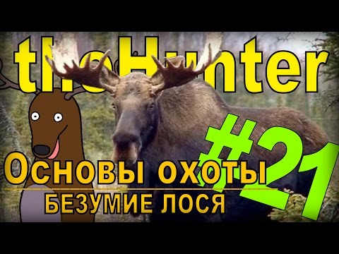 Видео: the Hunter - Безумие лося [Основы охоты] #21