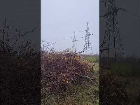 Видео: 8 серия 50 лет спустя 10 11 2025