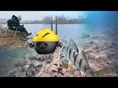 Видео: РЫБАЛКА НА ПОДВОДНЫЙ ДРОН. Поклёвки рыбы на червя