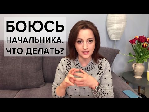 Видео: Как перестать бояться начальства и статусных людей