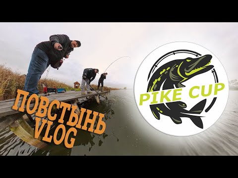 Видео: Сгоняли на турнир Pike CUP, влог из жизни нашего проекта.