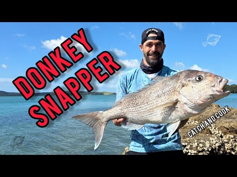 Видео: Копчение свежей кефали и создание гётаку-принта огромного люциана