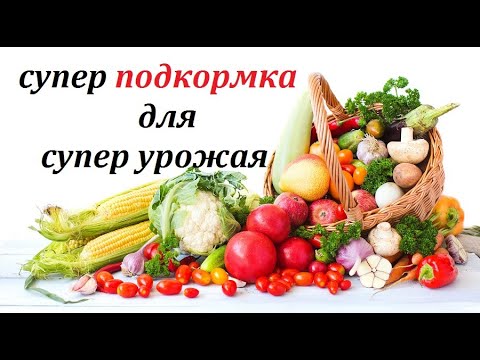 Видео: Используя эту ПОДКОРМКУ я точно знаю, что буду с урожаем.