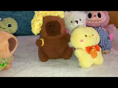 Видео: ‘Сарнайгийн амьмдрал’ 4-р анги😂