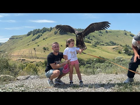 Видео: Отпуск | ПЯТИГОРСК| КИСЛОВОДСК| МЕДОВЫЕ ВОДОПАДЫ