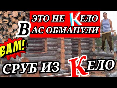 Видео: Хотите настоящий сруб из кело? Тогда Вы должны это знать!