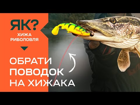 Видео: Як обрати поводок для хижака? Проста рибалка для початківців