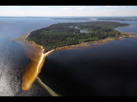 Видео: Селигер 2021. Озеро Белое. Майская коса.