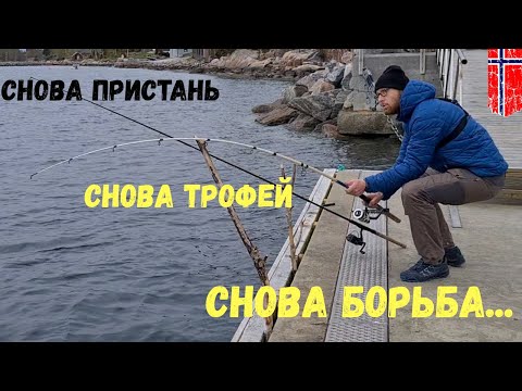 Видео: Снова ПРИСТАНЬ! Снова ТРОФЕЙ! Снова БОРЬБА! Рыбалка в Норвегии. Рыбалка. Норвегия. Ловля трески.