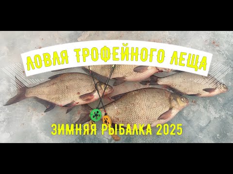 Видео: Ловля трофейного леща. Зимняя рыбалка. 15-16 марта 2025г.