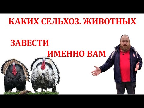 Видео: Каких сельскохозяйственных животных разводить именно Вам