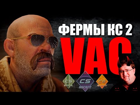 Видео: СКОЛЬКО ЗА 2 НЕДЕЛИ ЗАРАБОТАЛА МОЯ ФЕРМА ИЗ 100 ПРАЙМОВ В CS2?