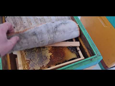 Видео: Обогрев - ЗЛО или всё-таки нет?! Часть 1.