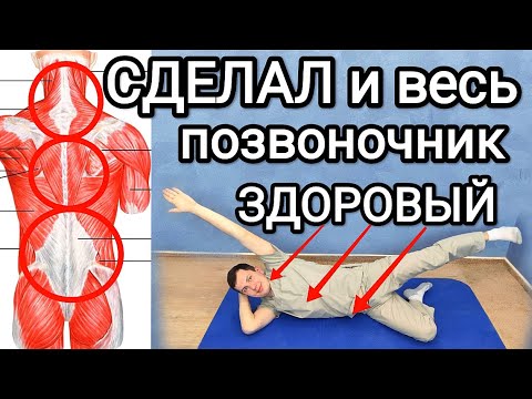Видео: Сделал 20 минут и весь позвоночник здоровый НАВСЕГДА / Гимнастика при остеохондрозе для всех отделов