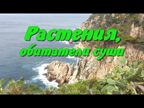 Видео: Растения - обитатели суши.