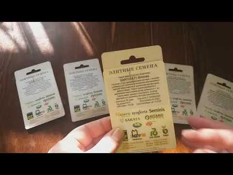 Видео: Лучшие подвои для арбузов и дынь