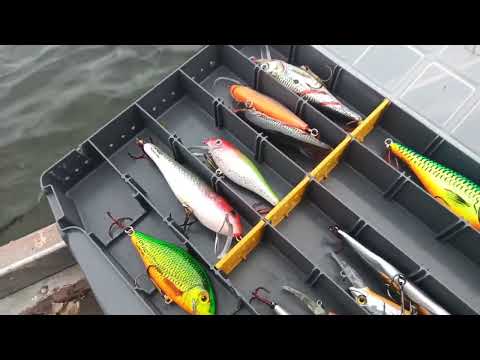 Видео: Воблеры Osko