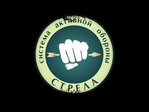 Видео: С А О Стрела  В Н Крючков  Техника основных ударов руками