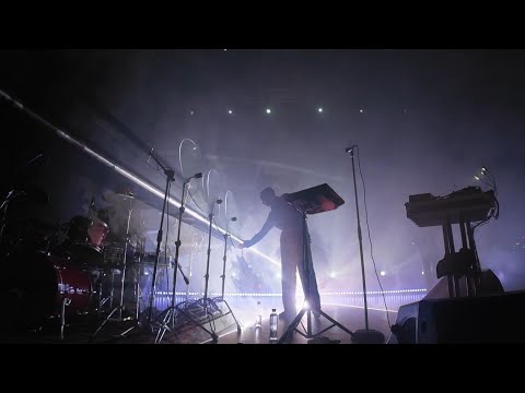 Видео: 🐬🎼 Дельфин Уфа 27.09.2025 @dolphin_music