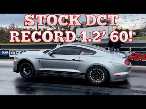 Видео: WHIPPLE SWAPPEL GT500 2020 года устанавливает рекорд на дистанции 1/4 мили! *Стандартный DCT