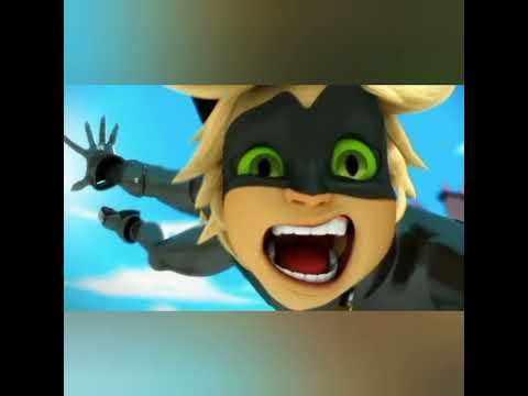 Видео: Galibri , Mavik— Я как Чак Норрис (по леди баг и супер кот) подписывайтесь на канал, ставьте лайки 😺