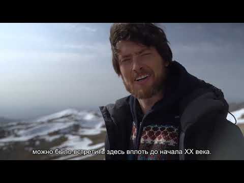 Видео: Это Земля Израиля. Духовная география