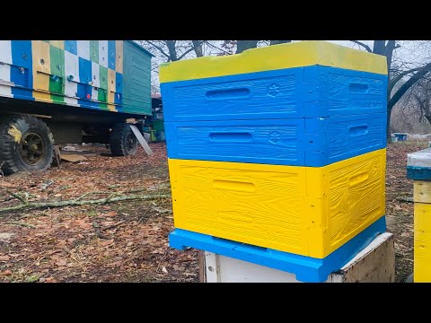 Видео: Огляд вулика Ппу Бджоляр