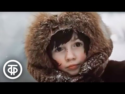 Видео: Как живет Новосибирск. В городе - минус 40 (1978)