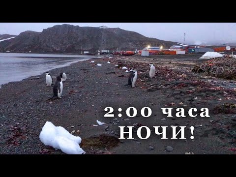 Видео: Белая ночь в Антарктиде!