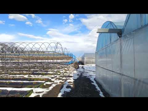 Видео: Куда я пропал. Строительство новой теплицы.