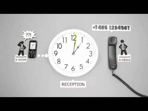 Видео: Единая сеть офисных и мобильных от Билайн Бизнес