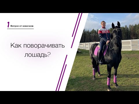 Видео: Вопросы от новичков. Как поворачивать лошадь?